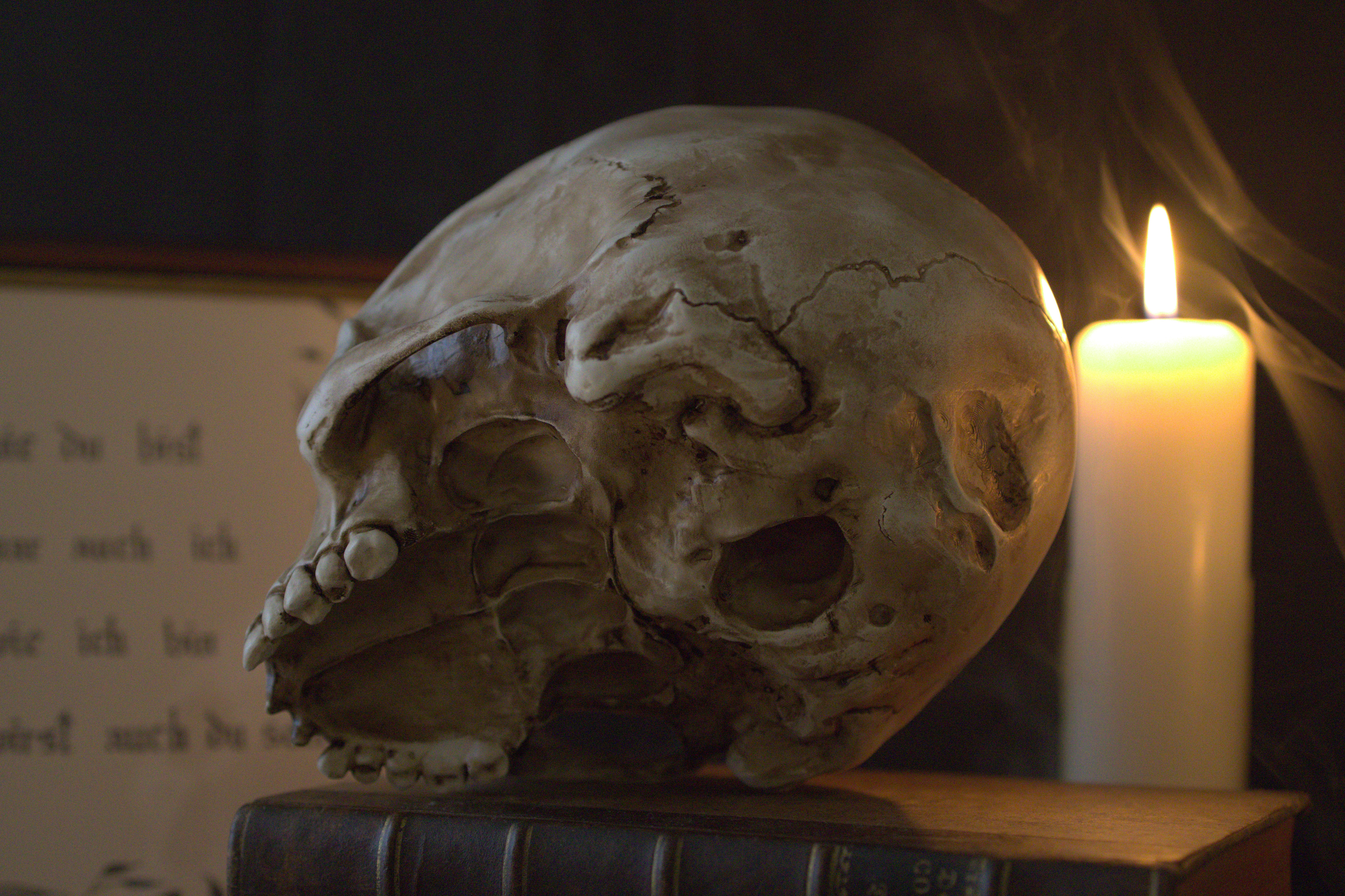 Lebensgroßer Totenkopf aus Kunstharz (handbemalt) - Image 5