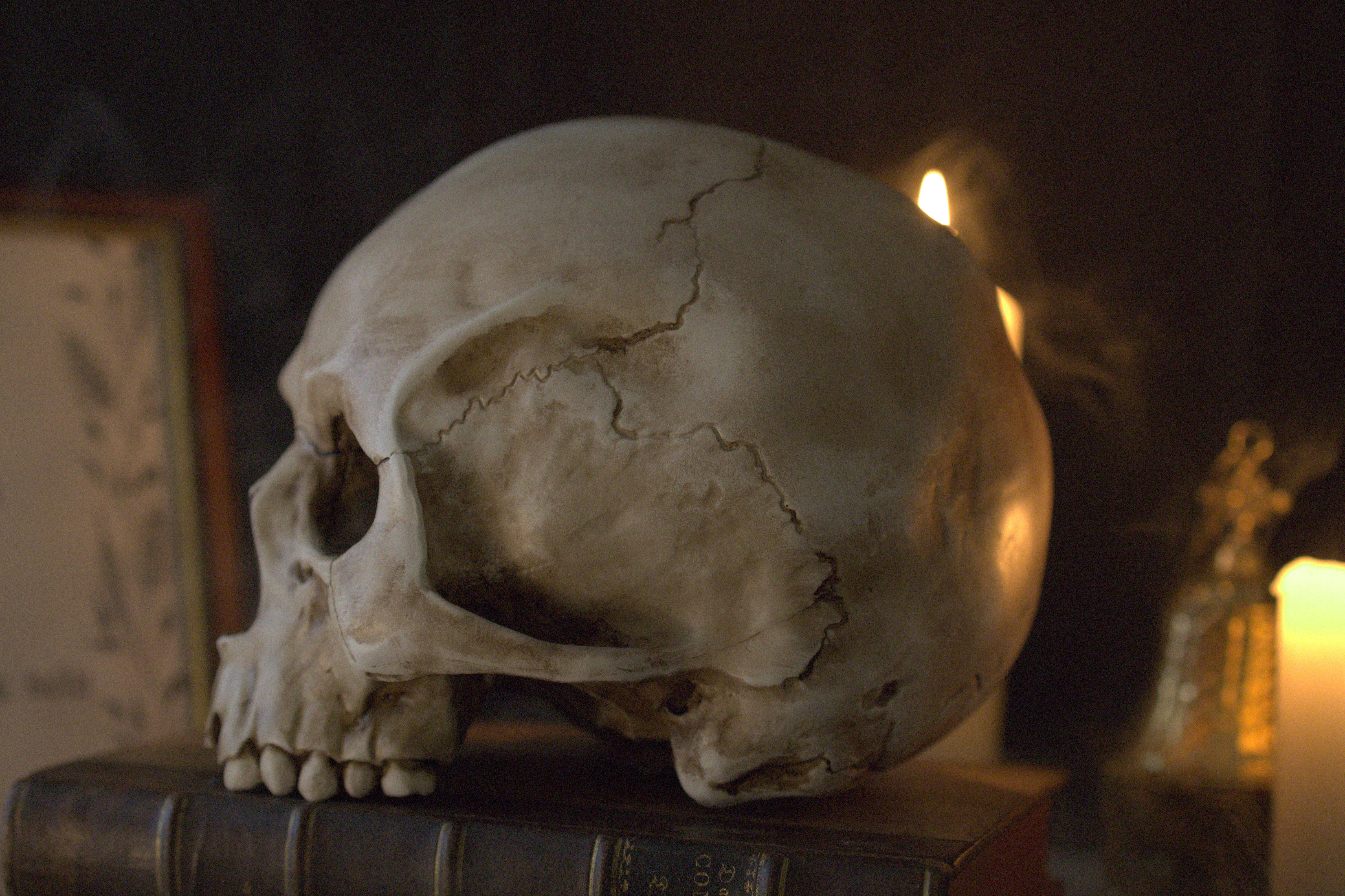 Lebensgroßer Totenkopf aus Kunstharz (handbemalt) - Image 6