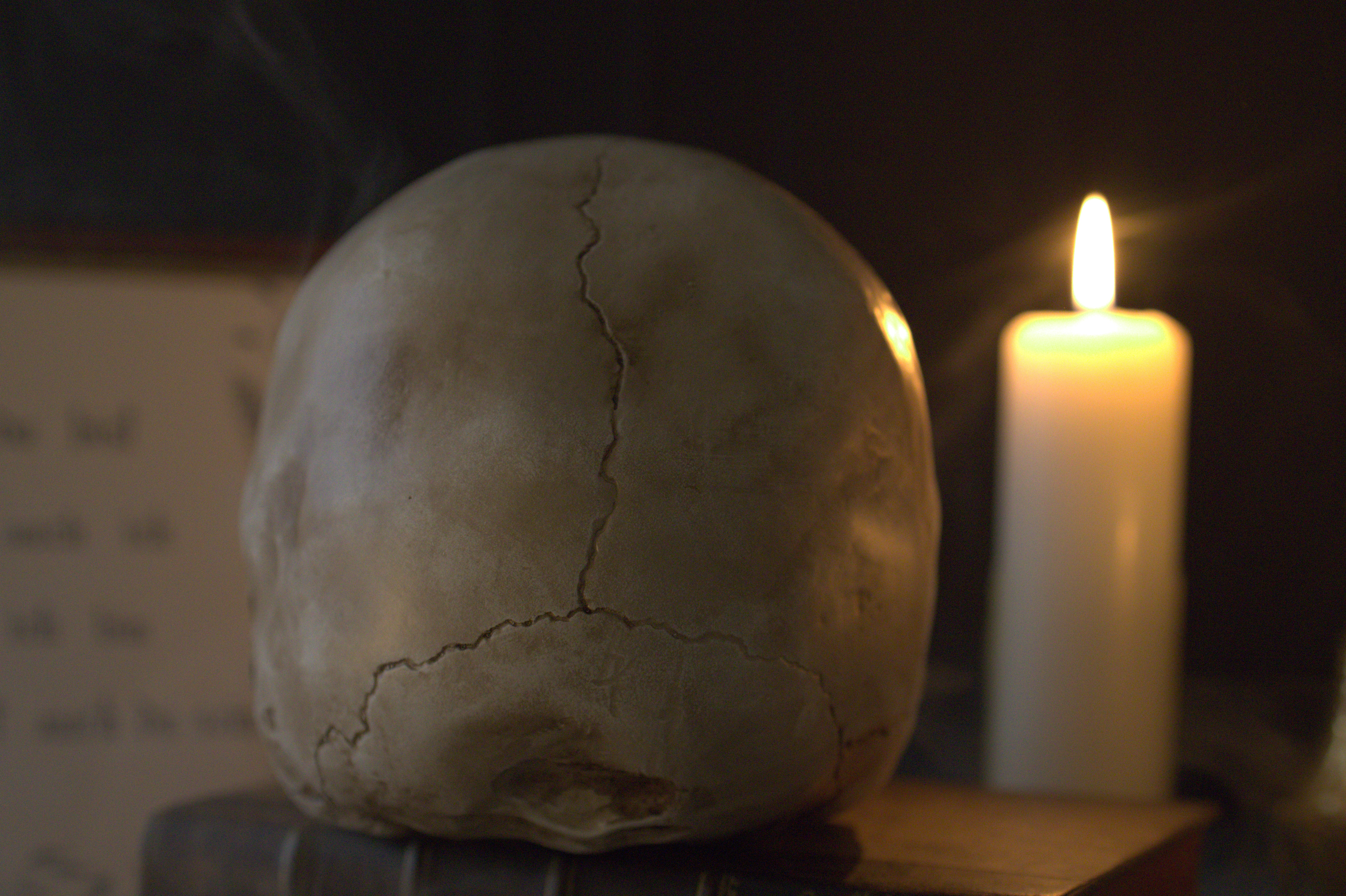 Lebensgroßer Totenkopf aus Kunstharz (handbemalt) - Image 7