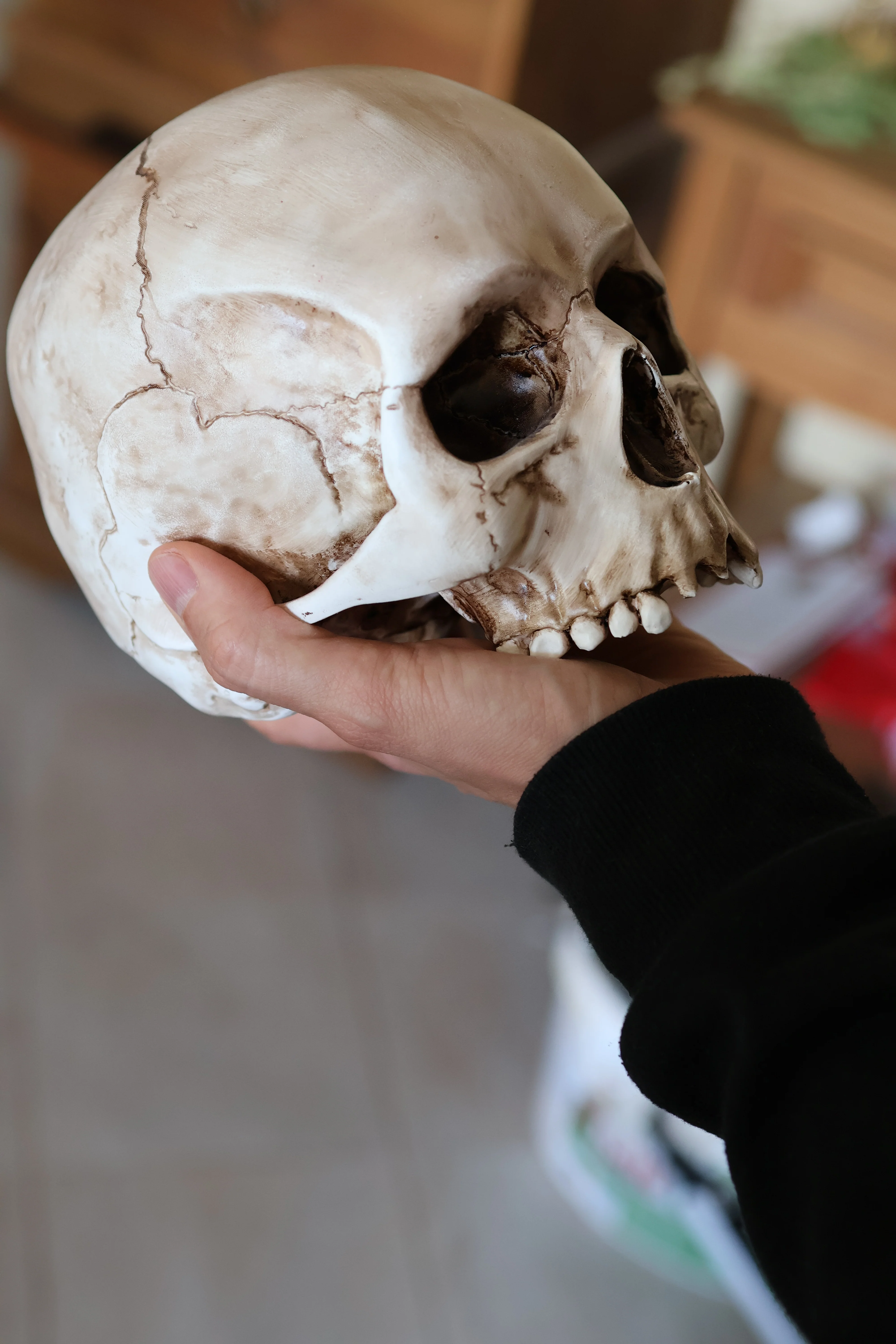 Lebensgroßer Totenkopf aus Kunstharz (handbemalt) - Image 8