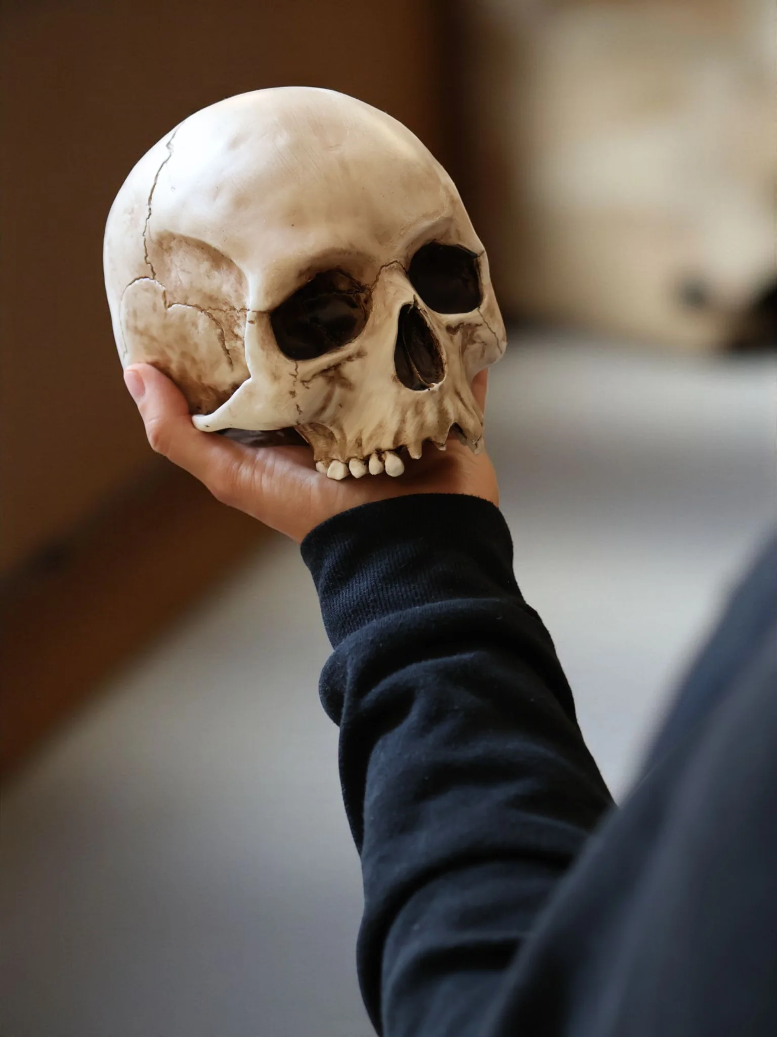 Lebensgroßer Totenkopf aus Kunstharz (handbemalt) - Image 9